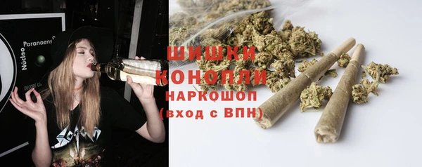 круглые Вяземский