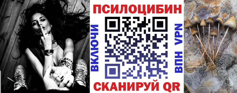 закладки  Невьянск  Псилоцибиновые грибы прущие грибы 